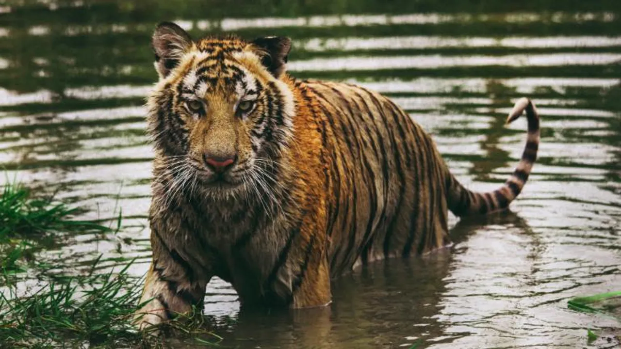  Image Source: India Today 