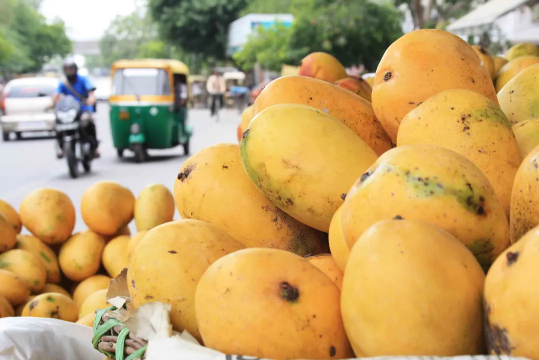  The Delhi Walla 