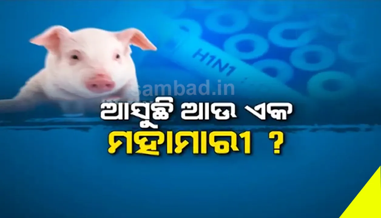  କରୋନା ବିଶ୍ୱକୁ ଡରାଉଥିବା ବେଳେ ଆଉ ଏକ ମହାମାରୀ ଆସିବା ଆଶଙ୍କା, ଚୀନରେ ଠାବ ହେଲା ସ୍ୱାଇନ ଫ୍ଲୁ ଭାଇରସର ଏକ ନୂଆ ଷ୍ଟ୍ରେନ