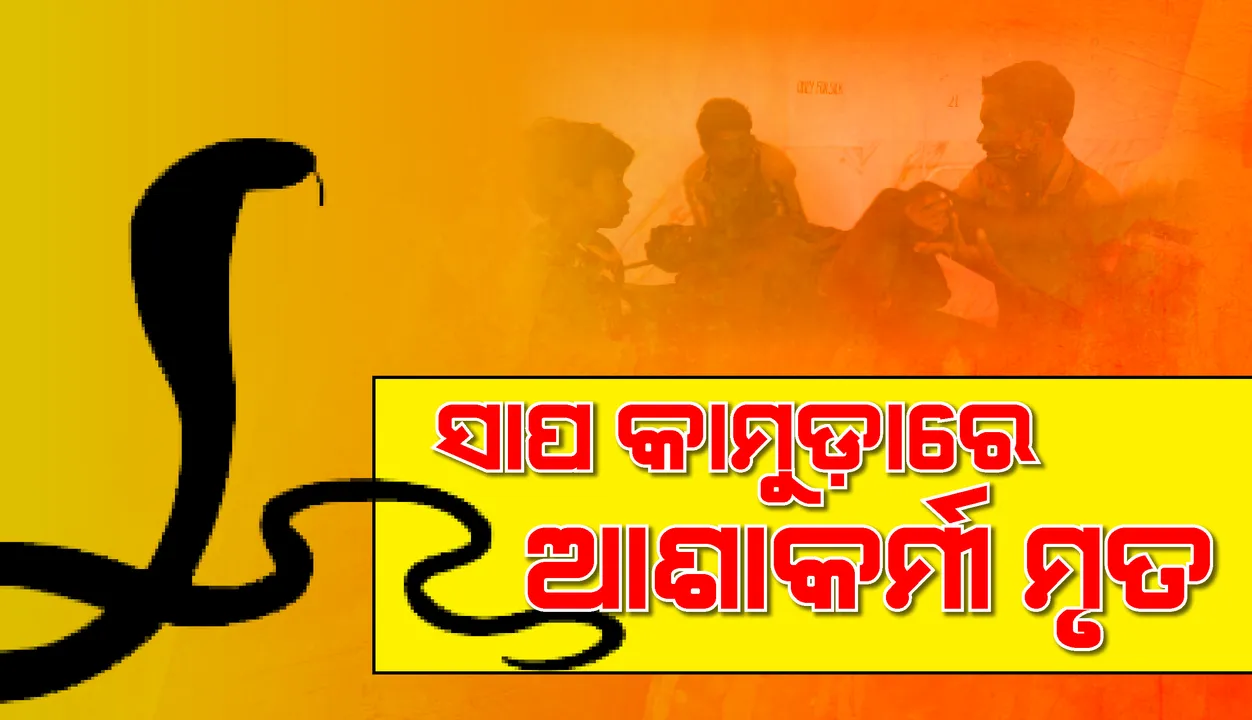  ନୂଆପଡ଼ା: ସାପ କାମୁଡ଼ାରେ ଆଶାକର୍ମୀ ମୃତ, ଆଉଜଣେ ଗୁରୁତର