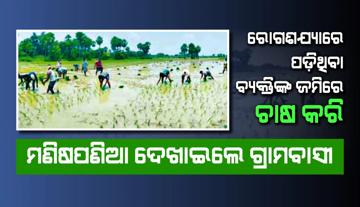  ରୋଗଶଯ୍ୟାରେ ପଡ଼ିଥିବା ବ୍ୟକ୍ତିଙ୍କ ଜମିରେ ଚାଷକଲେ, ମଣିଷପଣିଆ ଦେଖାଇଲେ ଗ୍ରାମବାସୀ