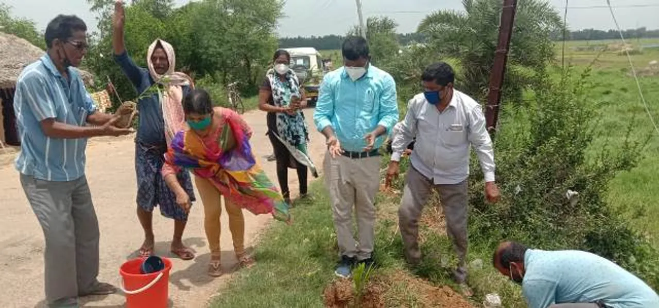  ଆଳି: ବୃକ୍ଷରୋପଣରେ ଲାଗିଛନ୍ତି ୬୩ ପ୍ରବାସୀ, ଲଗାଇବେ ଦେଢ ହଜାର ଗଛ