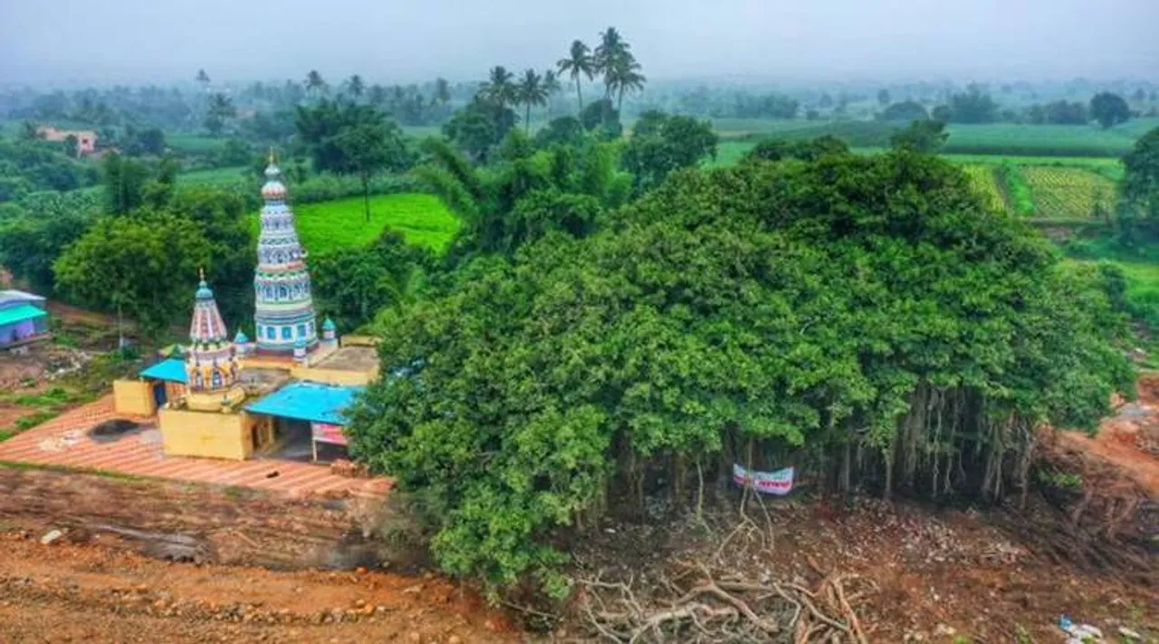  ୪୦୦ ବର୍ଷର ବରଗଛ ପାଇଁ ବଦଳିଗଲା ଜାତୀୟ ରାଜପଥର ନକ୍ସା