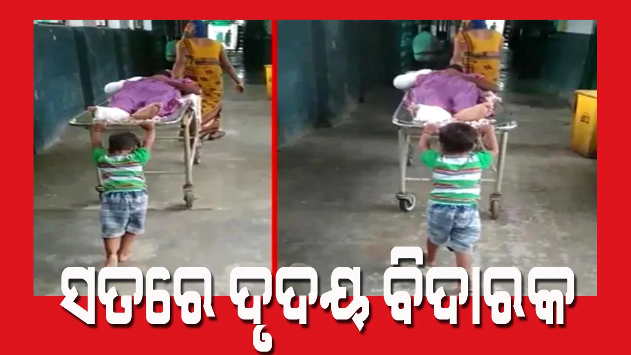  ହୃଦୟବିଦାରକ ଦୃଶ୍ୟ ! ୩୦ଟଙ୍କା ଲାଞ୍ଚ ଦେଇ ନ ପାରିବାରୁ ମା’ ସହ ମିଶି ଅଜାଙ୍କୁ ଷ୍ଟ୍ରେଚରରେ ଠେଲିଠେଲି ନେଉଛି ୬ବର୍ଷର ଶିଶୁ