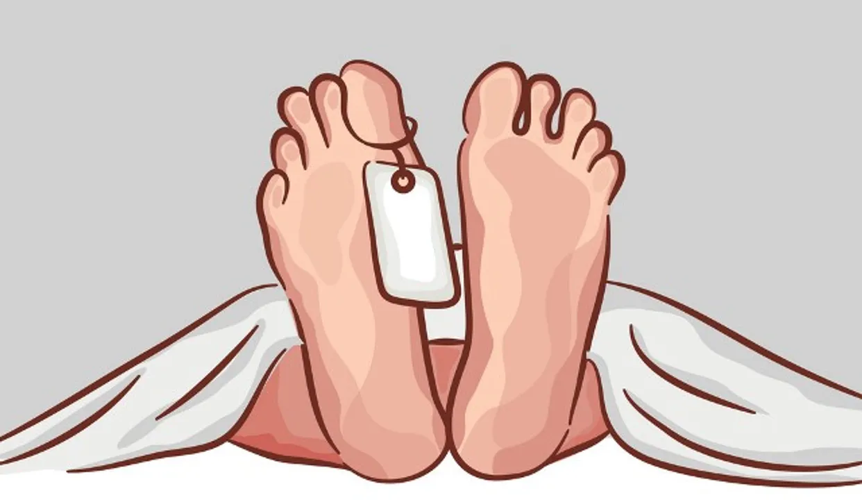  VectorStock 