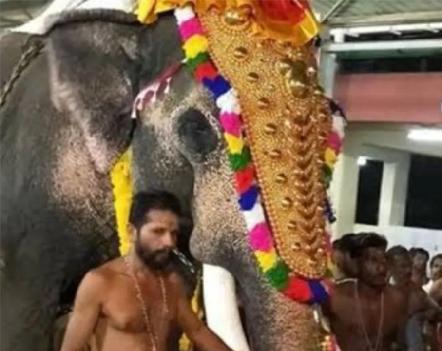  ଅସ୍ତିତ୍ବ ହରାଉଛି ସାରନଗରୀ, ହଜିଯାଇଛି ଆୟାପ୍ପା ପୂଜା, ଲୋହରି ପର୍ବ