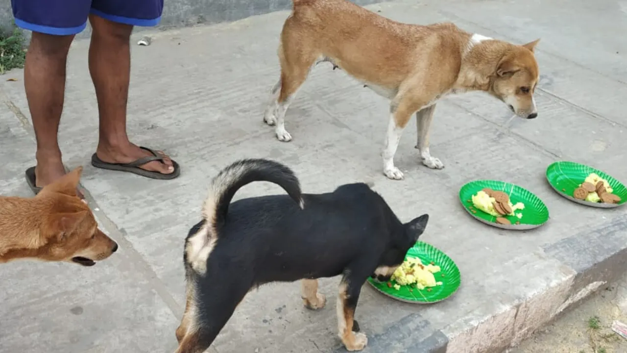  Guwahati Plus 