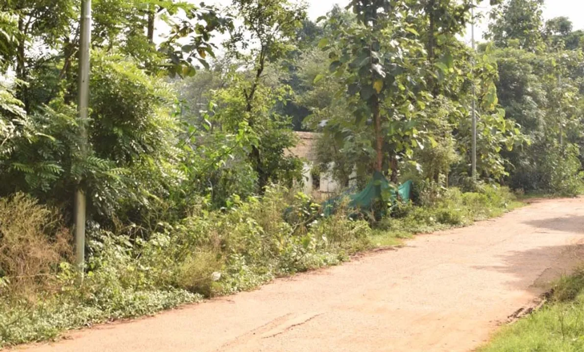   ୬ କୋଟିର ଆଲୋକୀକରଣ ପ୍ରକଳ୍ପ ୫ ଖୁଣ୍ଟରେ ସୀମିତ, ଦିନ ଗଡାଉଛି ଠିକାସଂସ୍ଥା