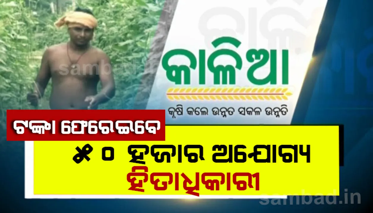  ୫୦ ହଜାର ଅଯୋଗ୍ୟ ହିତାଧିକାରୀ ଫେରାଇବେ କାଳିଆ ଟଙ୍କା