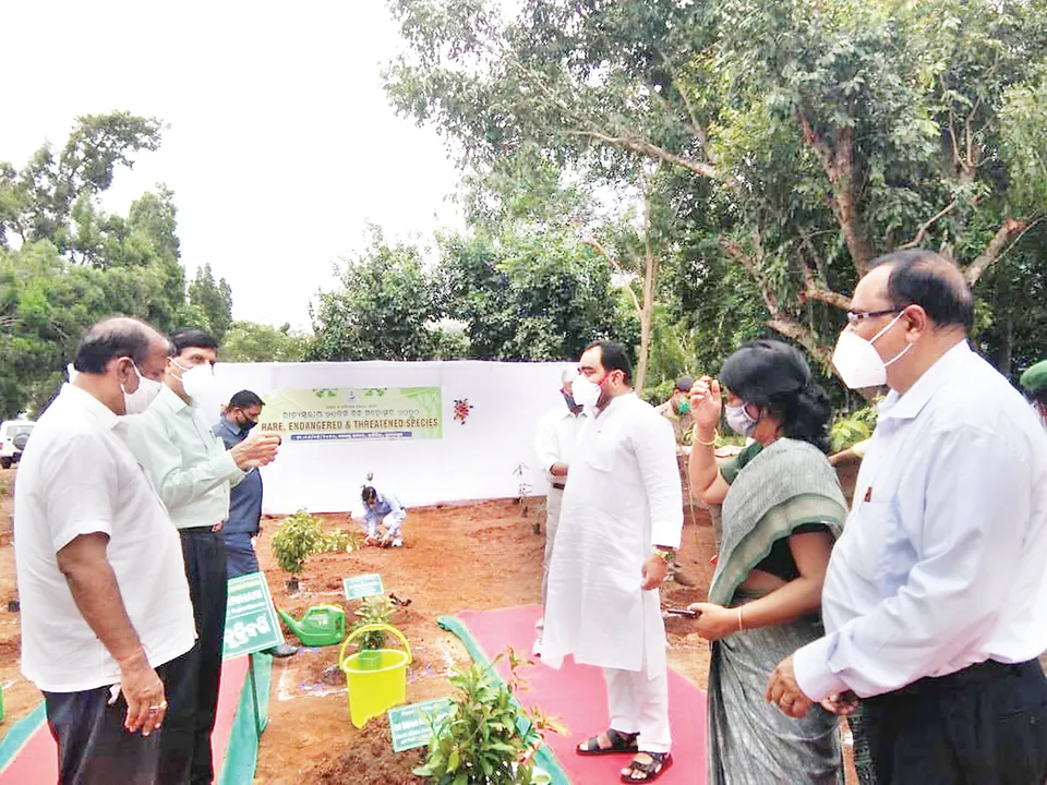  ୭୧ତମ ରାଜ୍ୟସ୍ତରୀୟ ବନ ମହୋତ୍ସବ : ମୌସୁମୀରେ ଲାଗିବ ୬ କୋଟି ଚାରା