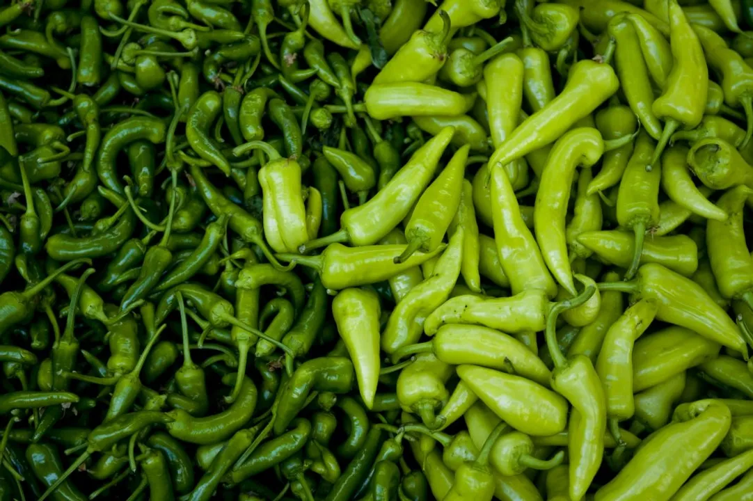  www.kohinoorfoods.co.uk 