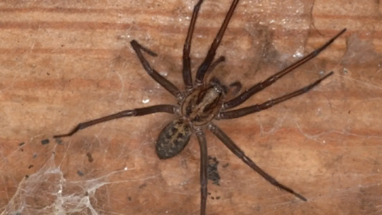  Surrey Wildlife Trust 