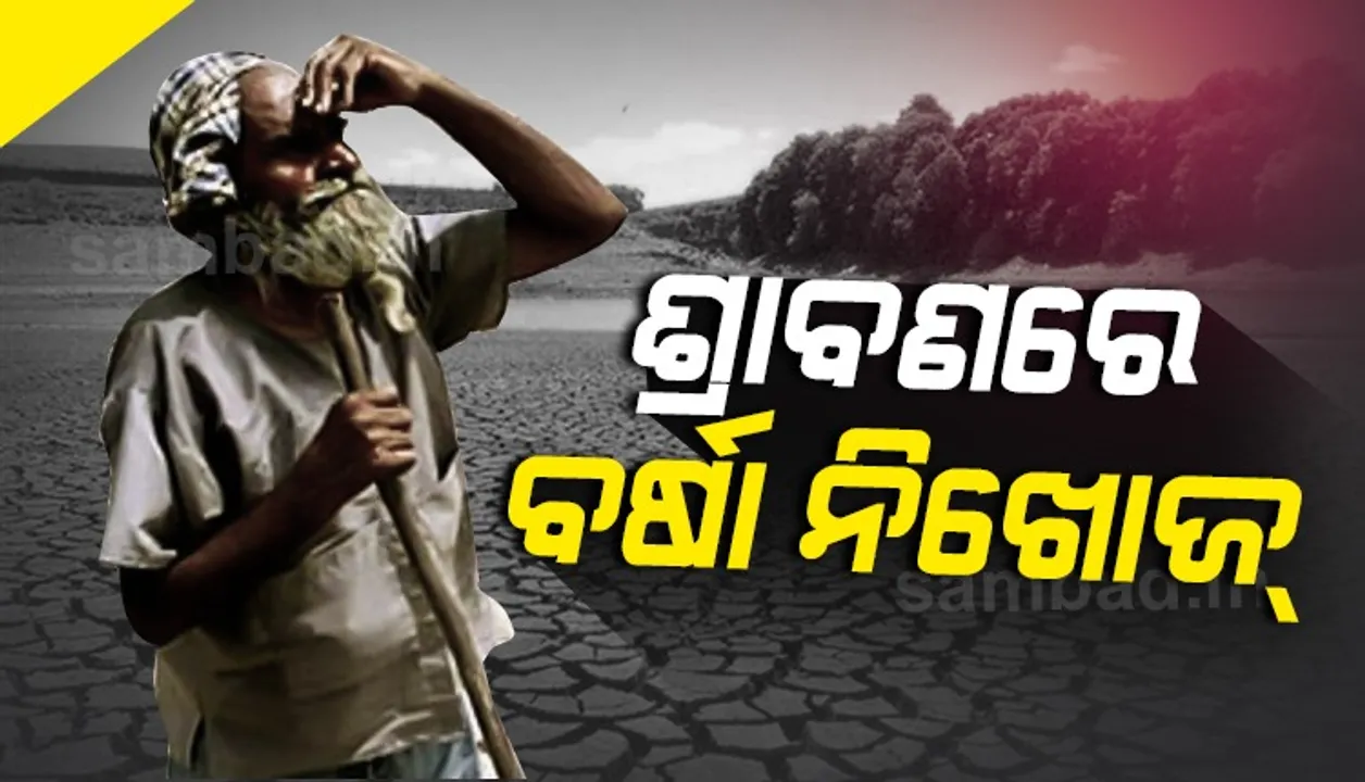  ଗଞ୍ଜାମରେ ମରୁଡ଼ିର ପଦଧ୍ୱନୀ!, ଶ୍ରାବଣରେ ବର୍ଷା ନିଖୋଜ
