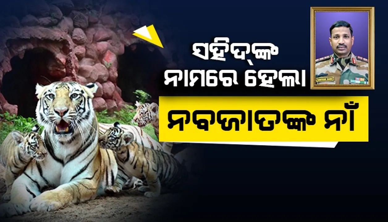 ସହିଦଙ୍କ ନାମରେ ନାମିତ ହେଲା ବାଘ ଶାବକଙ୍କ ନାଁ
