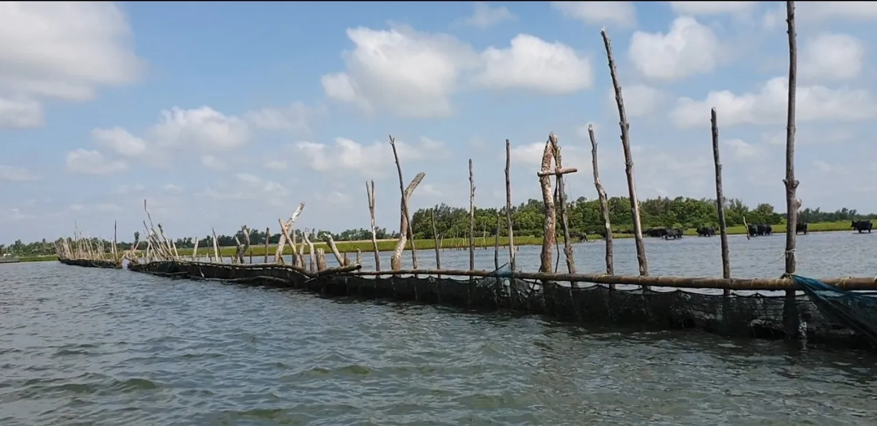  ଜଗତସିଂହପୁର: ଅସାଧୁ ଅଧିକାରୀଙ୍କୁ ହାତରେ ରଖି ଲକ୍ଷାଧିକ ଟଙ୍କାର ବେଆଇନ କାରବାର କରୁଛନ୍ତି ନଦୀ ମାଫିଆ