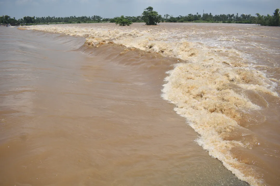  ବନ୍ୟା ସୁଅରେ ଭାସିଗଲେ ବ୍ୟବସାୟୀ