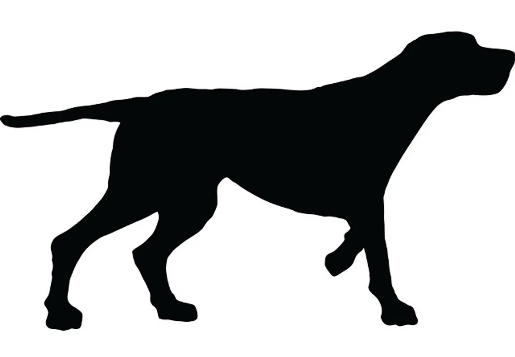  VectorStock 
