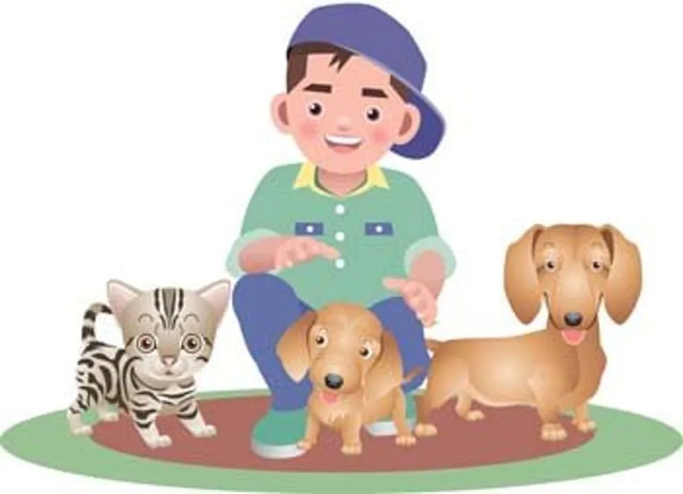  Clipart.me 