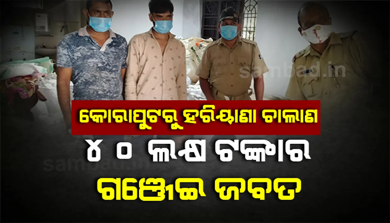  କେରାପୁଟରୁ ହରିୟାଣା ଚାଲାଣ: ୪୦ ଲକ୍ଷ ଟଙ୍କାର ଗଂଜେଇ ଜବତ, ୪ ଅଭିଯୁକ୍ତ ଯୁବକ ଗିରଫ