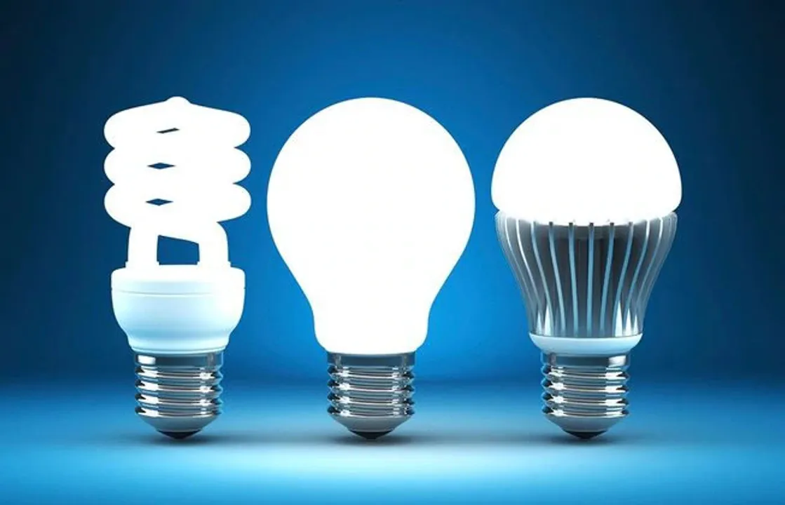  
Lampsone 