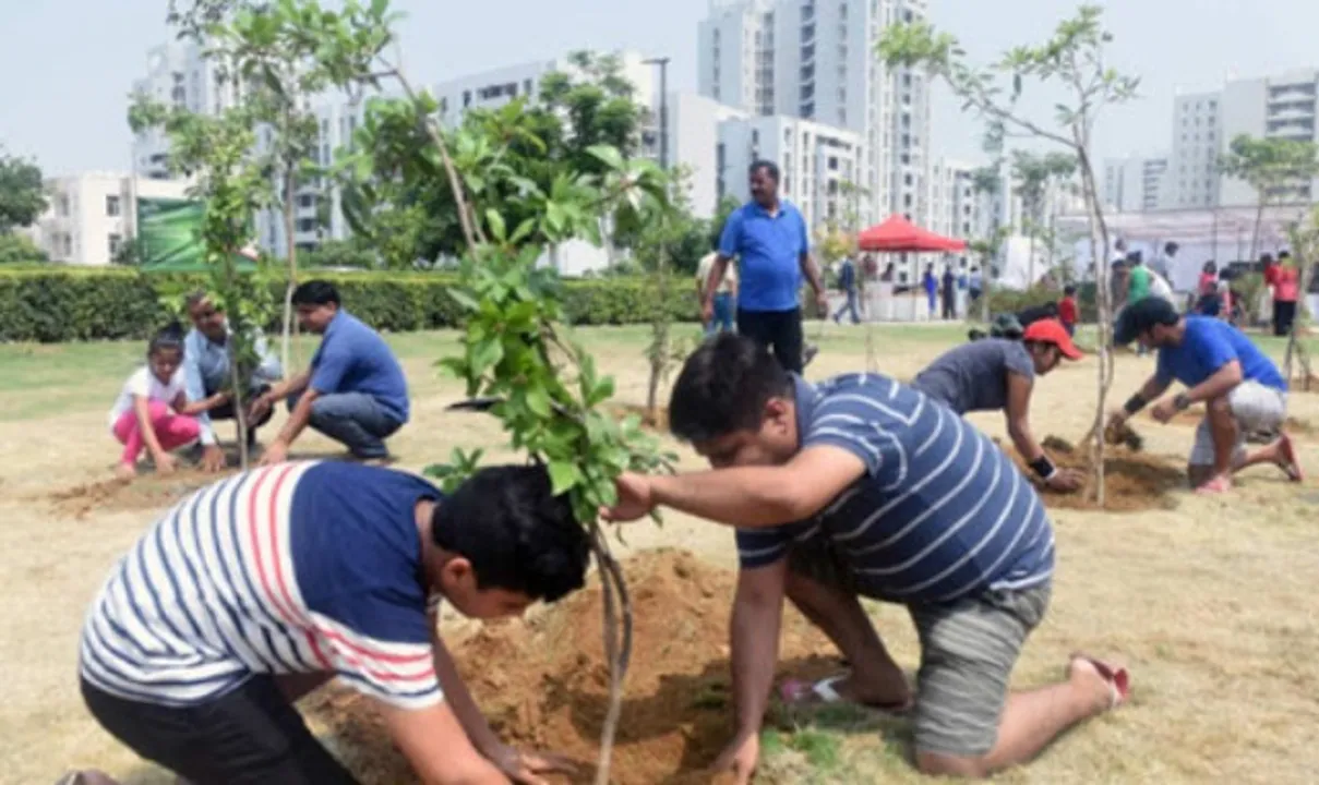  tree – TreecoTech 
