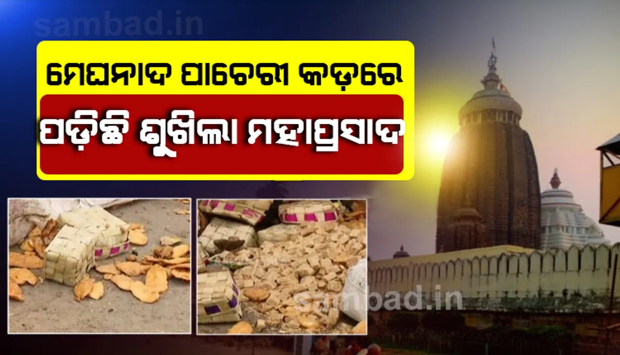  ପୁରୀରେ ରାସ୍ତାକୁ ଫିଙ୍ଗିଦେଲେ ବସ୍ତା ବସ୍ତା ଶୁଖିଲା ମହାପ୍ରସାଦ; ଭକ୍ତ ମହଲରେ ତୀବ୍ର ପ୍ରତିକ୍ରିୟା
