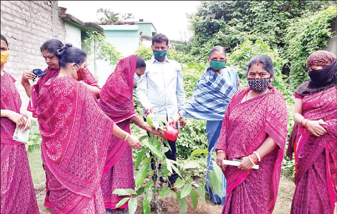  ‘ସମ୍ବାଦ’ ସମ୍ପାଦକଙ୍କ ଜନ୍ମଦିନ ଅବସରରେ ବୃକ୍ଷରୋପଣ