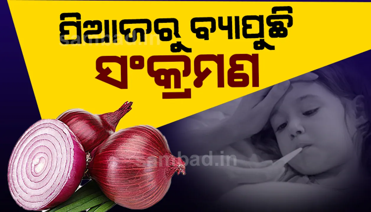  କରୋନା ପରେ ପିଆଜରୁ ବ୍ୟାପୁଛି ନୂଆ ସଂକ୍ରମଣ! କ’ଣ ରହିଛି ସଂକ୍ରମଣର ଲକ୍ଷଣ ଜାଣନ୍ତୁ?