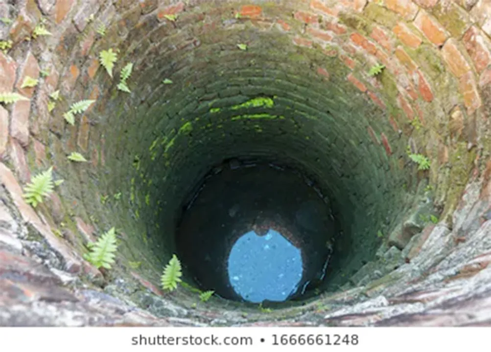  Represntational image: Shutterstock 