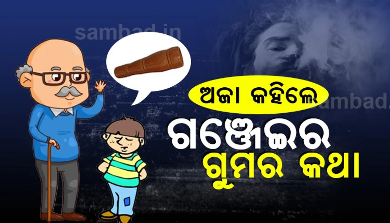  ଗୋଟିଏ ଗଛ: କାହା ପାଇଁ ପ୍ରସାଦ, କାହା ପାଇଁ ନିଶା-ଔଷଧ