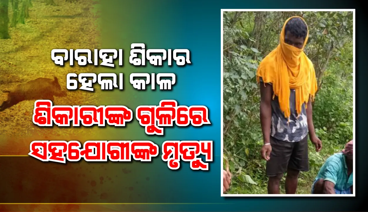  ବାରାହା ଶିକାର ହେଲା କାଳ, ଶିକାରୀଙ୍କ ଗୁଳିରେ ସହଯୋଗୀଙ୍କର ମୃତ୍ୟୁ 