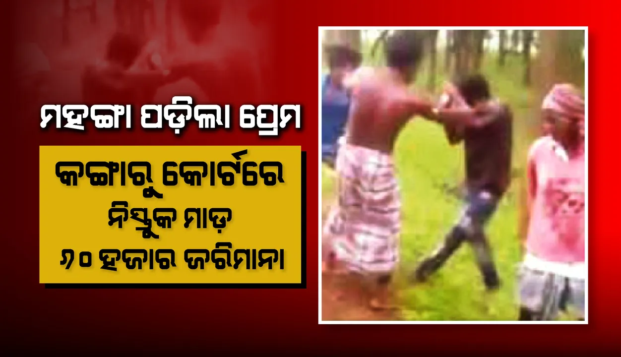  ଯୁବକଙ୍କ ପାଇଁ ମହଙ୍ଗା ପଡ଼ିଲା ପ୍ରେମ : କଙ୍ଗାରୁ କୋର୍ଟରେ ନିସ୍ତୁକ ମାଡ଼, ୬୦ ହଜାର ଜରିମାନା