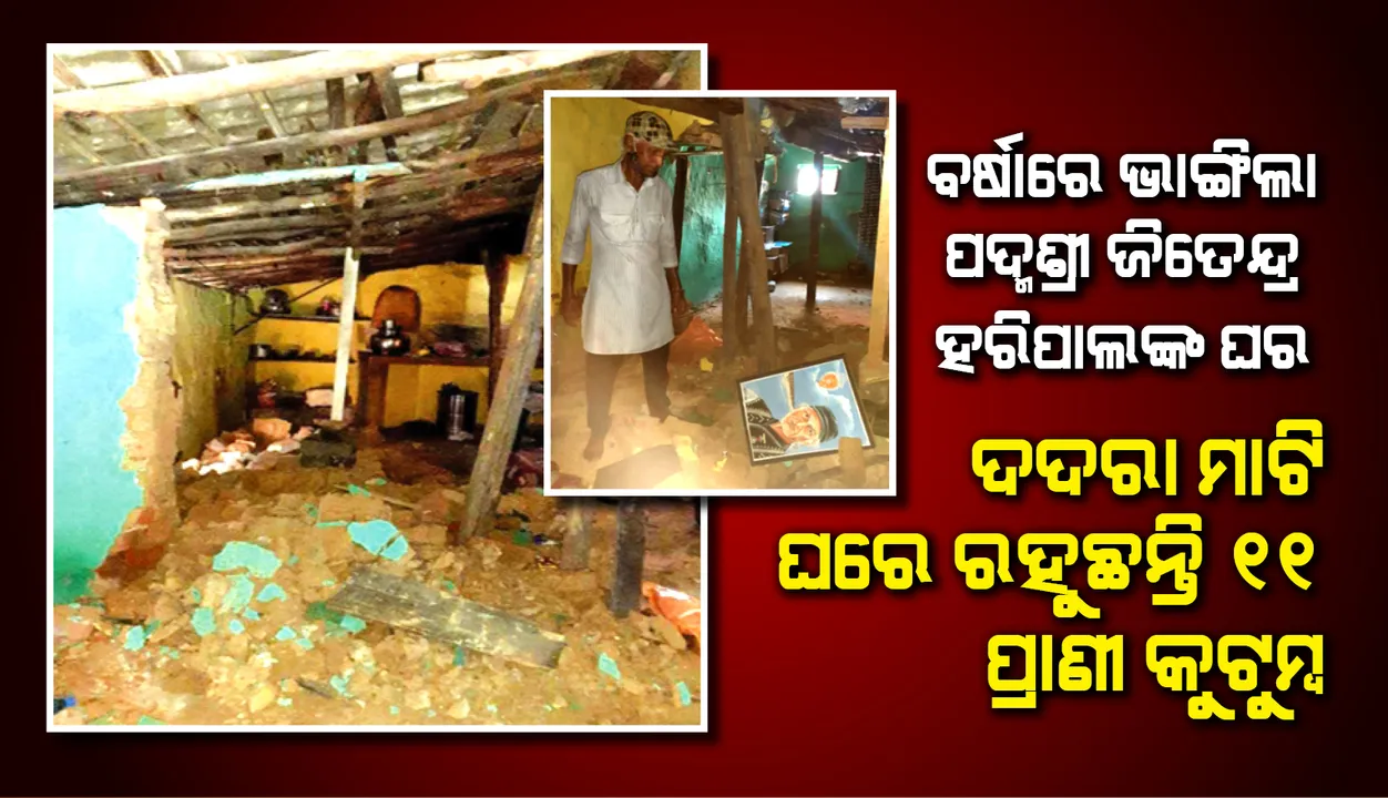  ବର୍ଷାରେ ଭାଙ୍ଗିଲା ପଦ୍ମଶ୍ରୀ ଜିତେନ୍ଦ୍ର ହରିପାଲଙ୍କ ଘର, ଦଦରା ମାଟିଘରେ ରହୁଛନ୍ତି ୧୧ ପ୍ରାଣୀ କୁଟୁମ୍ବ