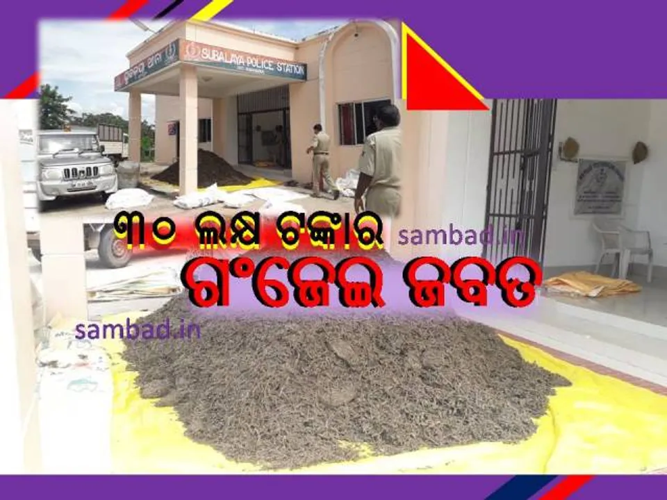  ୪ କୁଇଣ୍ଟାଲ ୮୦ କିଲୋ ଗଂଜେଇ ଓ ନଗଦ ୯ ଲକ୍ଷ ଟଙ୍କା ଜବତ, ୪ ଗିରଫ