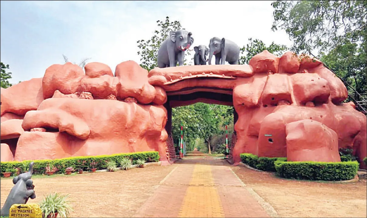  ଗାନ୍ଧୀ ଜୟନ୍ତୀରେ ଖୋଲିବ ଚନ୍ଦକା ହସ୍ତୀ ଅଭୟାରଣ୍ୟ