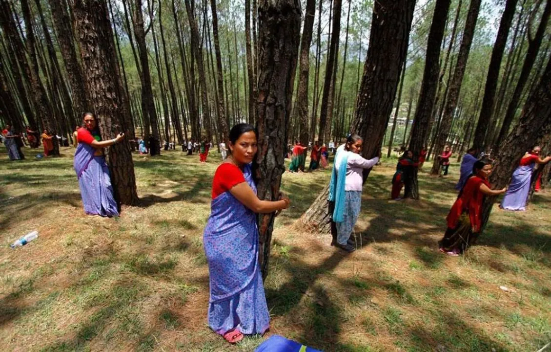  drvidyahattangadi.com 