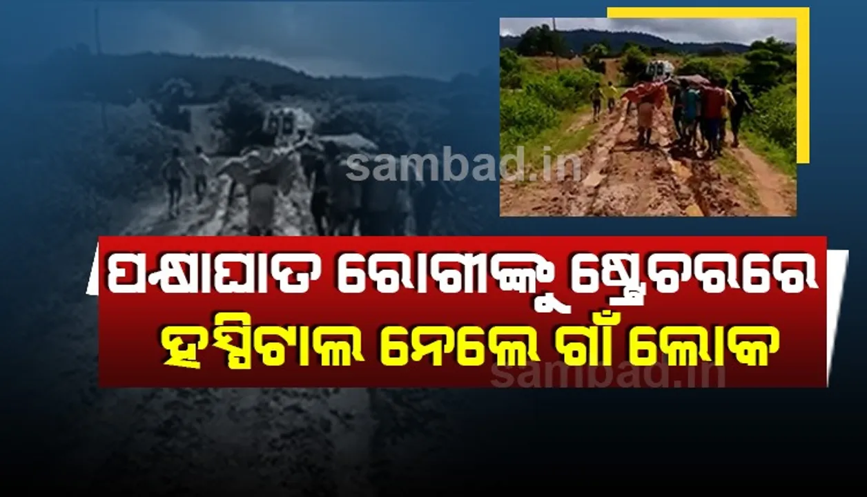 ଆମ୍ବୁଲାନ୍ସ ଯାଇପାରିଲାନି: ପକ୍ଷାଘାତ ରୋଗରେ ଆକ୍ରାନ୍ତ ମହିଳାଙ୍କୁ ୨ କିଲୋମିଟର ଷ୍ଟ୍ରେଚରରେ ନେଲେ ଗାଁ ଲୋକେ