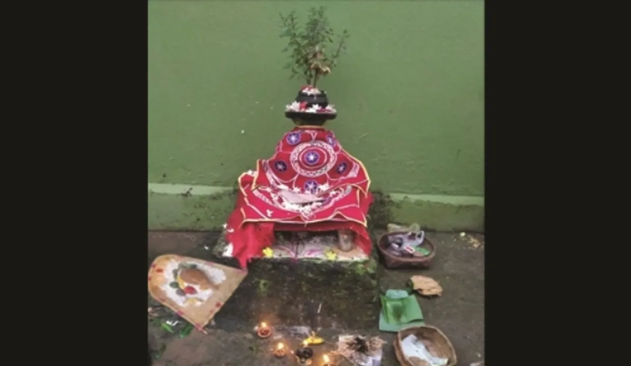  ଆଶ୍ୱିନର ଲୋକବ୍ରତ: ଜହ୍ନିଓଷା