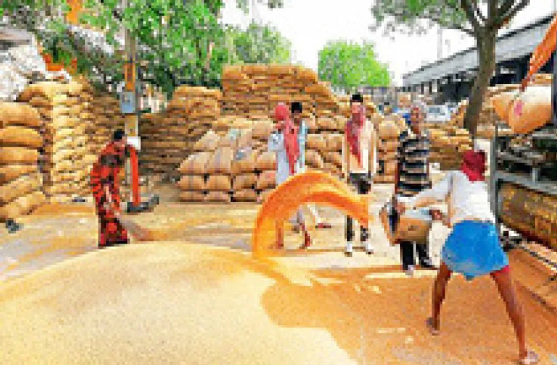  ସର୍ବନିମ୍ନ ସହାୟକ ମୂଲ୍ୟ ବ୍ୟବସ୍ଥା ରହିବ, କୃଷି କ୍ଷେତ୍ର ପାଇଁ ସରକାର ଆଣିଲେ ଦୁଇଟି ଅଧ୍ୟାଦେଶ