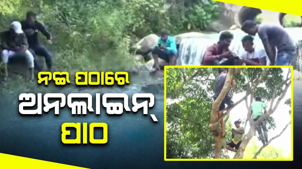  ଅନଲାଇନ୍ ପାଠପଢ଼ାର ବିକଳ ଚିତ୍ର: ନଈପଠାରେ ପାଠ ପଢ଼ୁଛନ୍ତି ପିଲା, ଗଛ ଚଢ଼ି ଖୋଜୁଛନ୍ତି ନେଟୱର୍କ