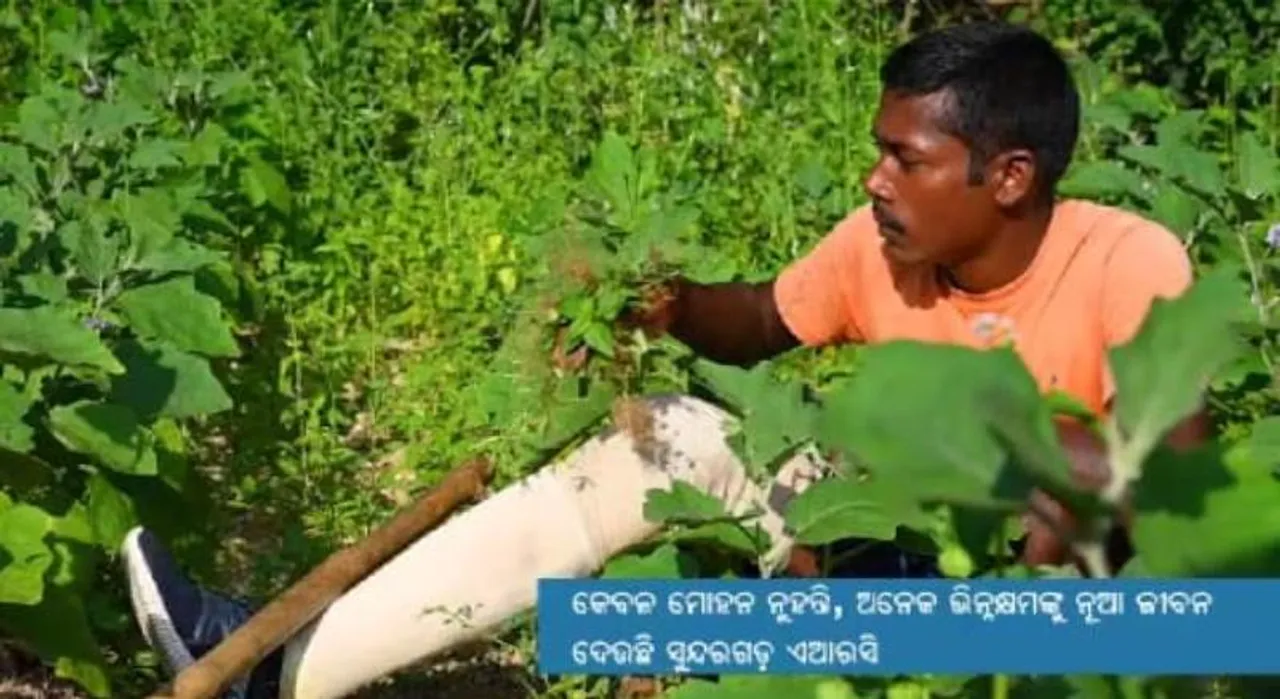  ଗୋଆରୁ ଭିନ୍ନକ୍ଷମ ହୋଇ ଫେରିଥିଲେ ମୋହନ, ପୁଣି ସକ୍ଷମ କଲା ପୁନର୍ବାସ କେନ୍ଦ୍ର
