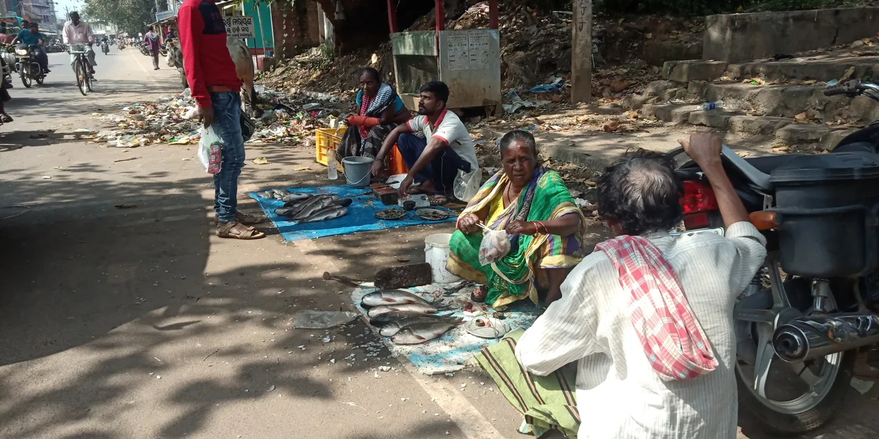  ଭଞ୍ଜନଗର ରାଜରାସ୍ତା କଡ଼ରେ ମାଛ ମାଂସ ପସରା