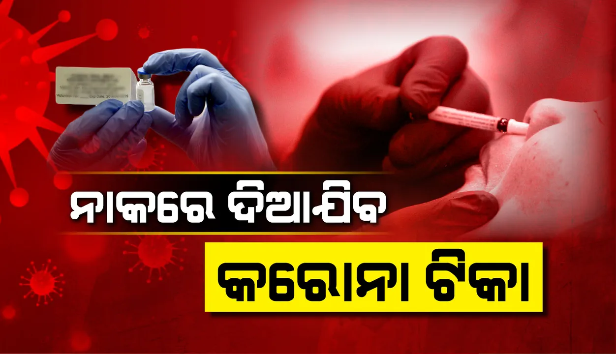  ନାକରେ ଦିଆଯିବ କରୋନା ଟିକା, ଖୁବ ଶୀଘ୍ର ଏ ନେଇ ପରୀକ୍ଷା ଆରମ୍ଭ କରିବ ସେରମ ଇନଷ୍ଟିଚ୍ୟୁଟ