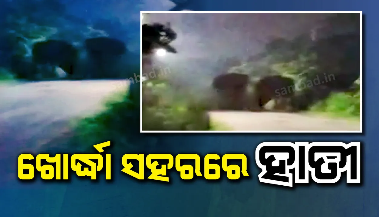  ଖୋର୍ଦ୍ଧା ଜିଲ୍ଲା ମୁଖ୍ୟ ଡାକ୍ତରଖାନା ପରିସରରେ ହାତୀ