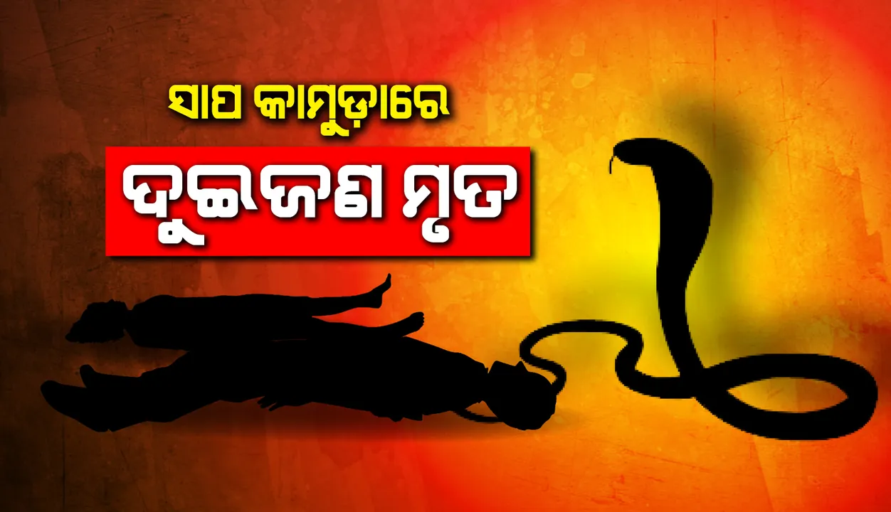  ବିଷାକ୍ତ ସାପ କାମୁଡ଼ାରେ ଦୁଇଜଣଙ୍କ ମୃତ୍ୟୁ