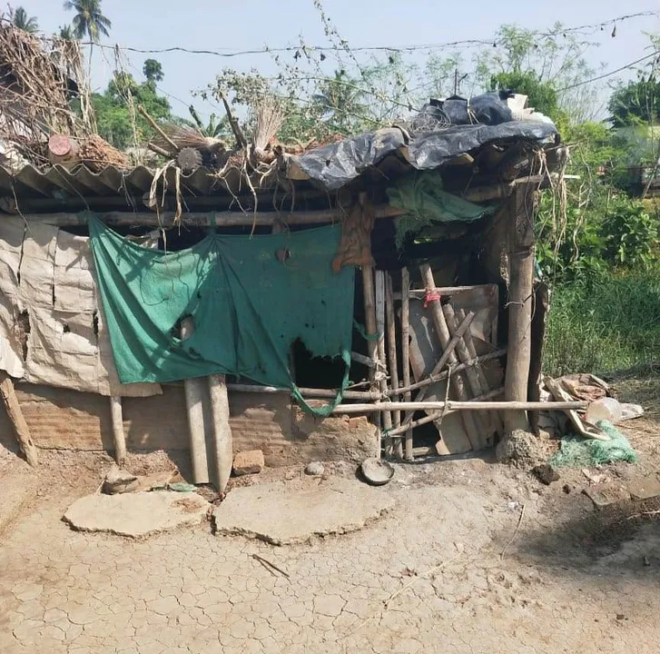  ପୁଣି ମାତିଲେଣି ଛେଳିମେଣ୍ଢା ଚୋର; କାର ଲଗାଇ ନେଇଗଲେ ୮ ମେଣ୍ଢା