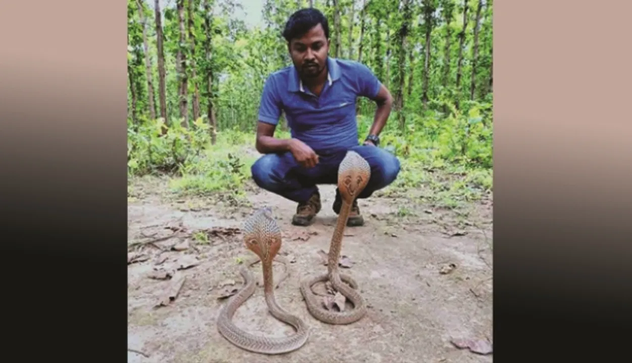  ସାର ଦୋକାନରୁ ନାଗ ନାଗୁଣୀ ଉଦ୍ଧାର