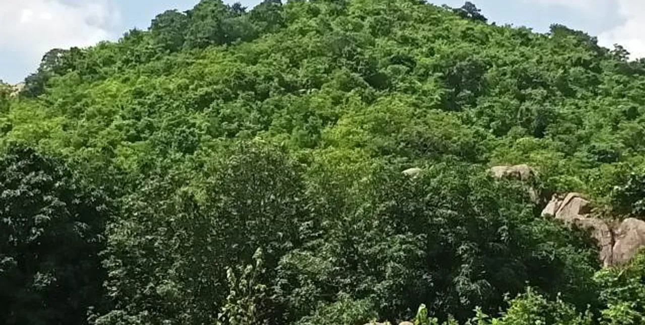  Odisha News Online 