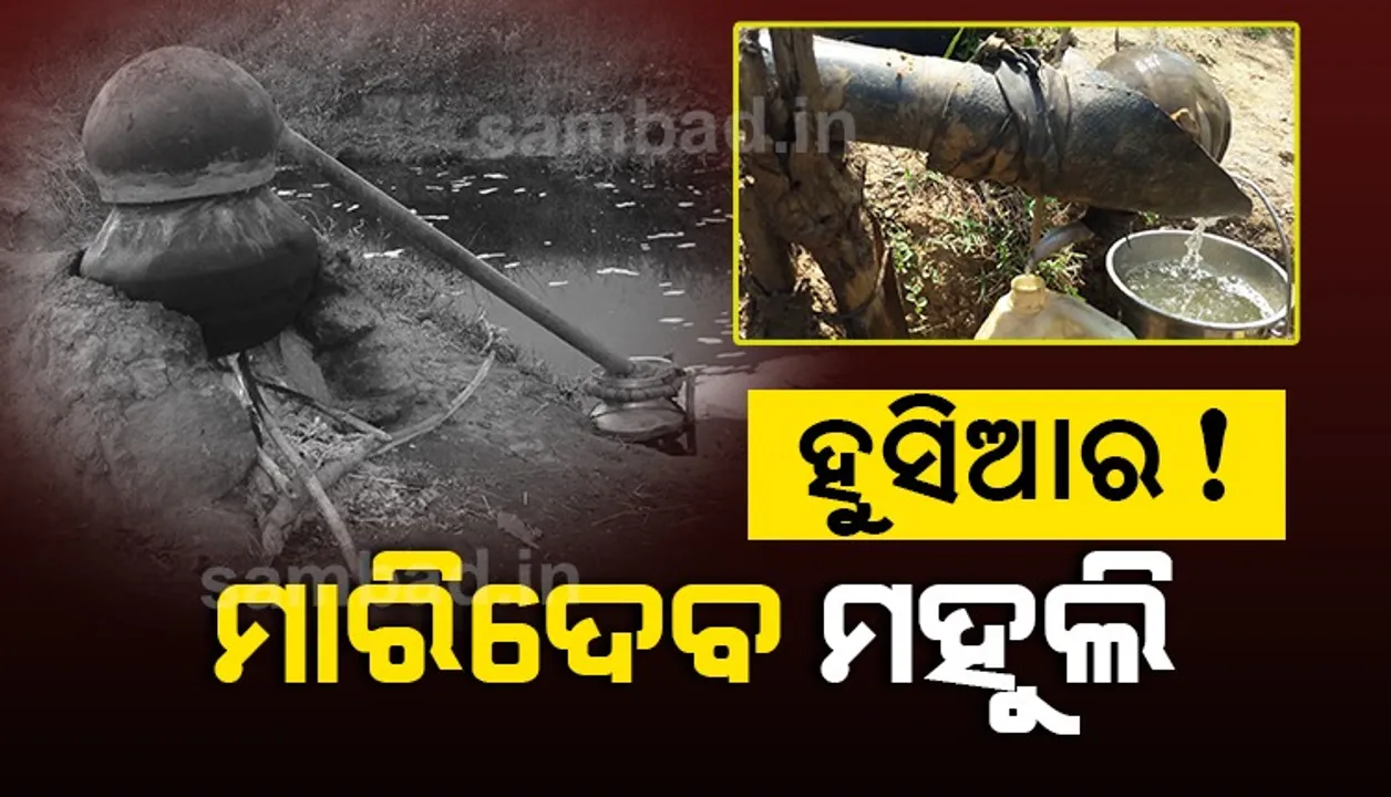  ହୁସିଆର! ମାରିଦେବ ମହୁଲି
