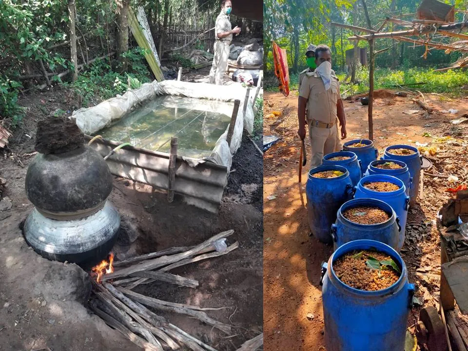  ପୁଲିସ୍‌ର ଚଢ଼ାଉ: ୫୦୦ ଲିଟର ରନ୍ଧା ମଦ ସହିତ ମଦ ପ୍ରସ୍ତୁତିରେ ବ୍ୟବହୃତ ସାମଗ୍ରୀ ଜବତ, ଛତ୍ରଭଙ୍ଗ ଦେଲେ ମଦ ମାଫିଆ